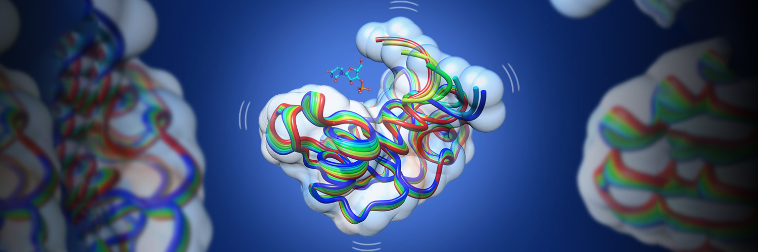 Enzyme CTO banner