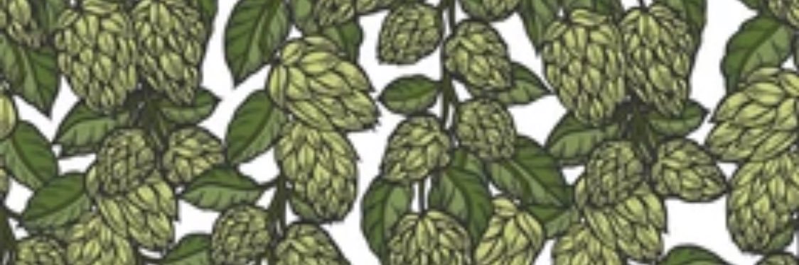 CryptoBeerMan banner