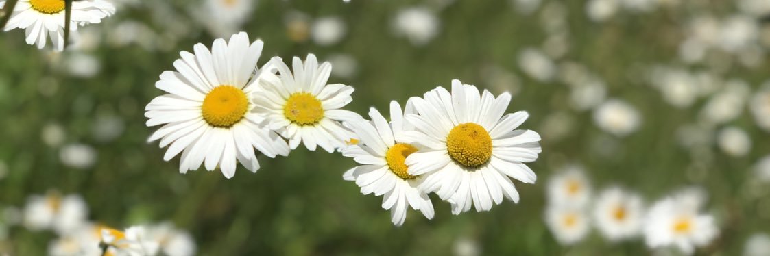 Munshhi's profile banner image