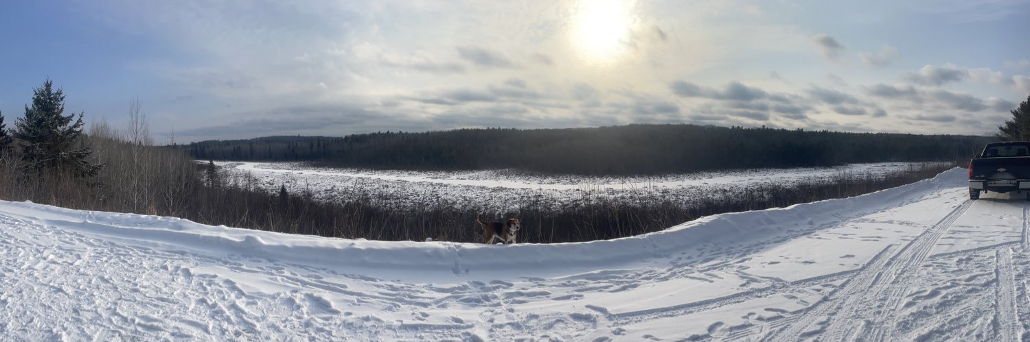 maddyrabby's profile banner image