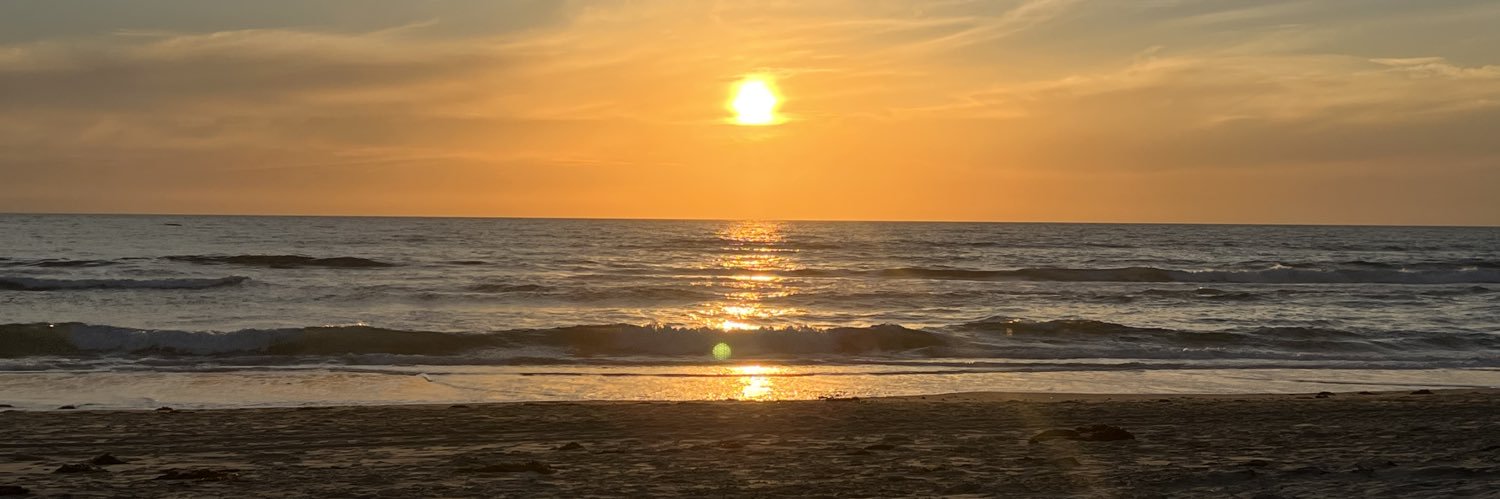 juniorgrossi's profile banner image