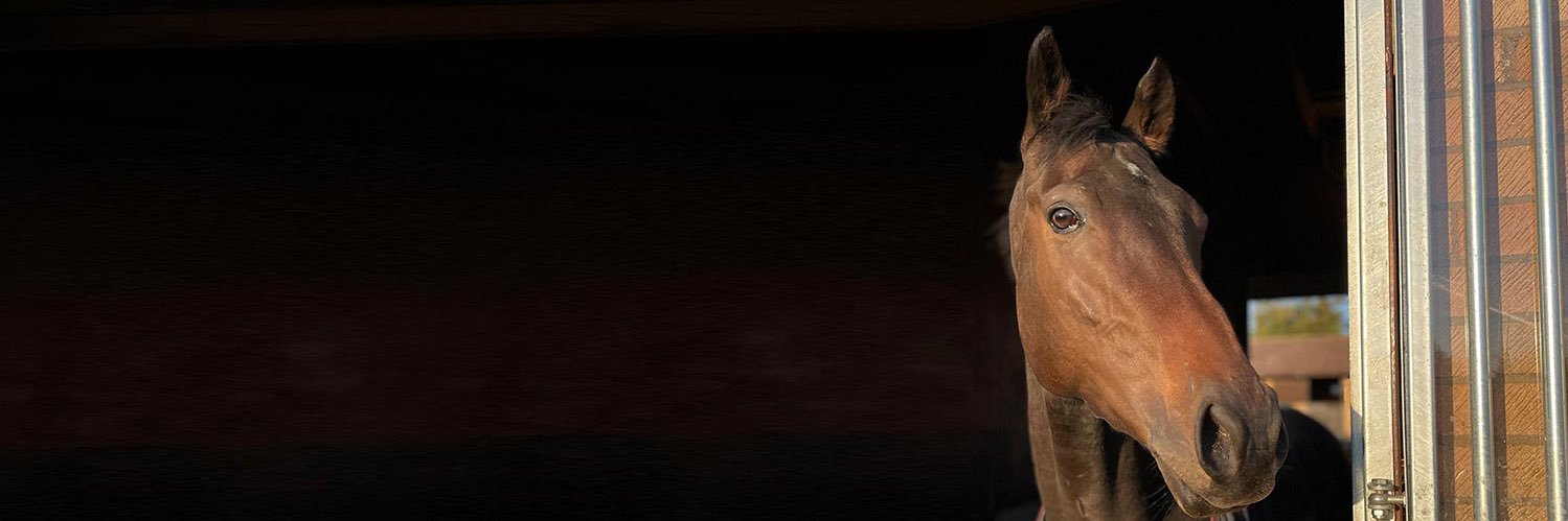 Ruby Red Racing banner