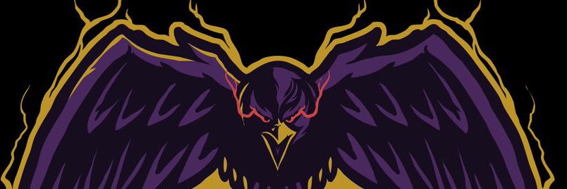 Ballers Flock banner