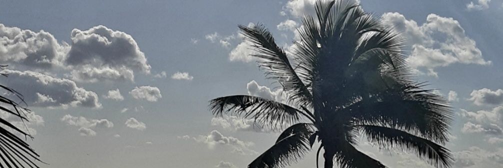 A_Cervera's profile banner image