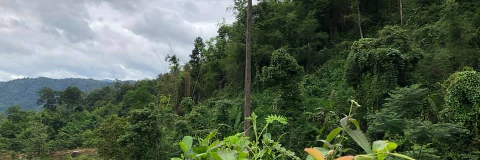 arndt's profile banner image