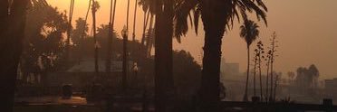 Sandra Ross banner