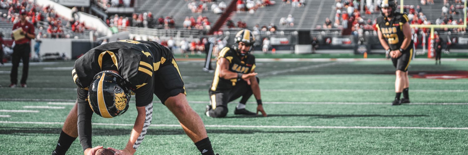 Boothe Larkin banner