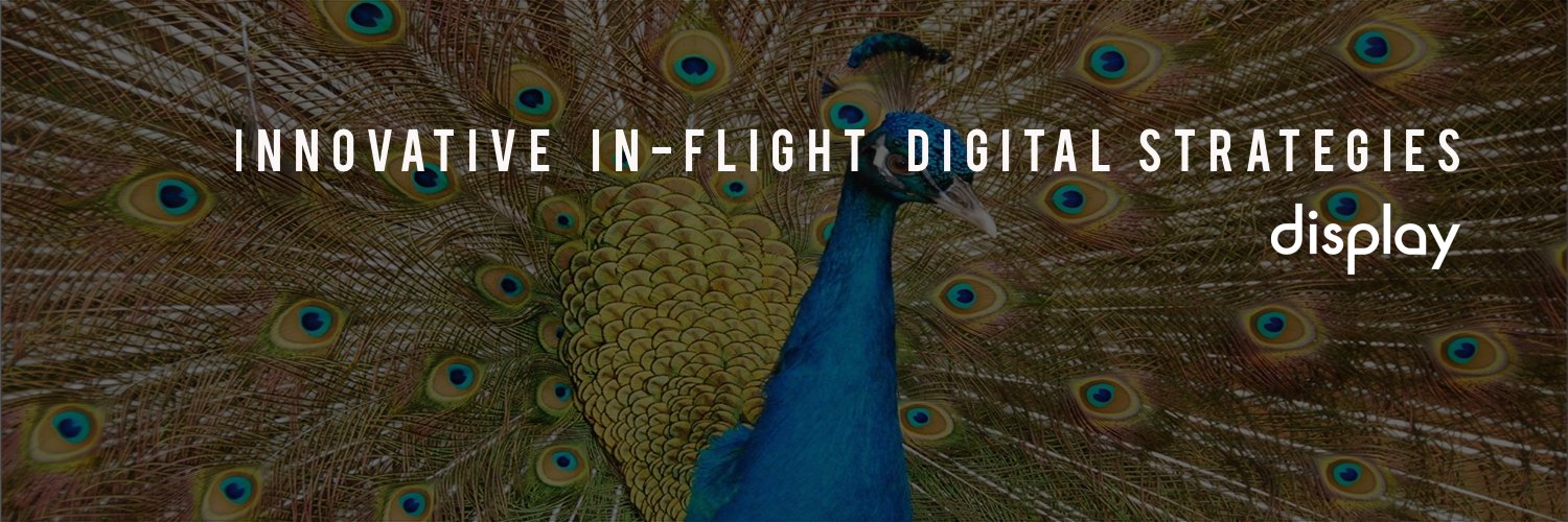 DisplayIfe's profile banner image