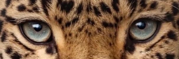 mxlissah_'s profile banner image