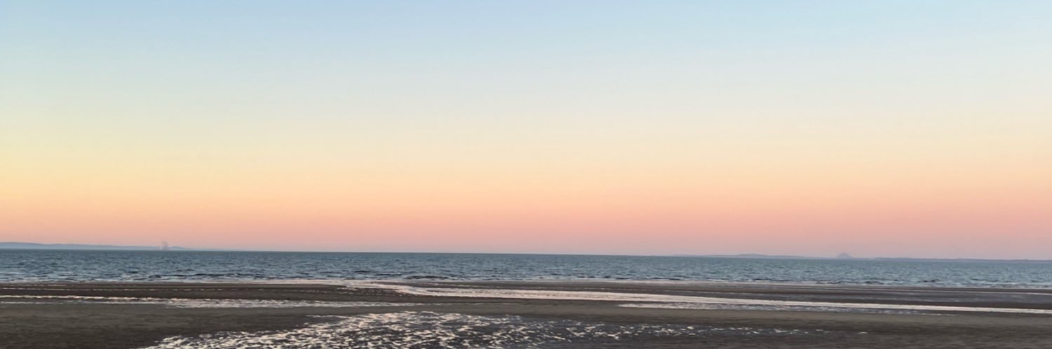 Iain Smith 💙 banner