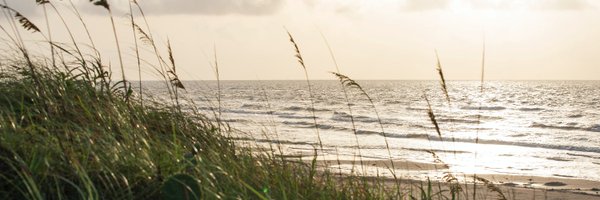 ChispaTexas Profile Banner