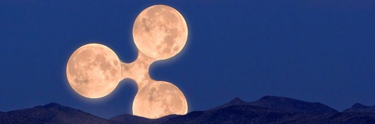 Felixvonelmo's profile banner image