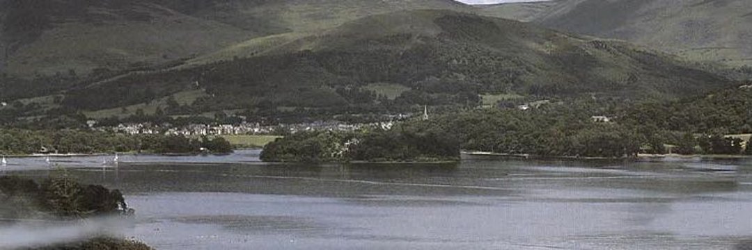 🌟 lottie! 🌟 banner