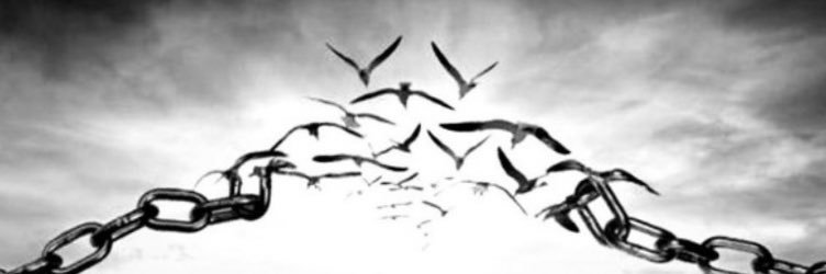 D banner