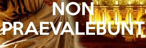 Avv_Nike's profile banner image