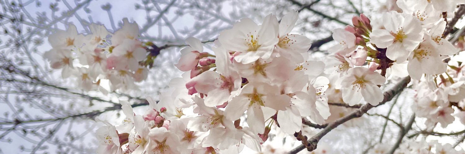Inhoney's profile banner image