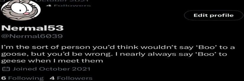 Nermal53🏳️‍⚧️ banner