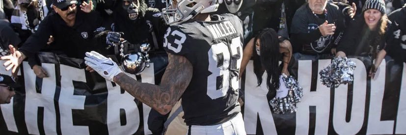 Raider banner