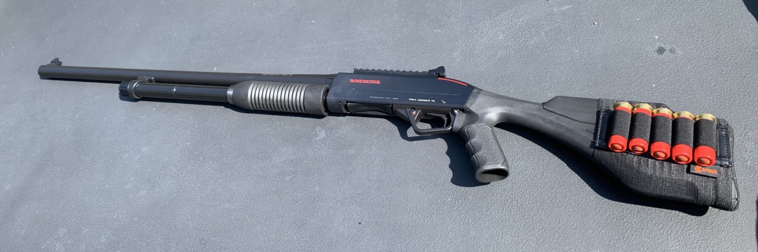 Mippin's 22 ✞ 🇫🇷 banner