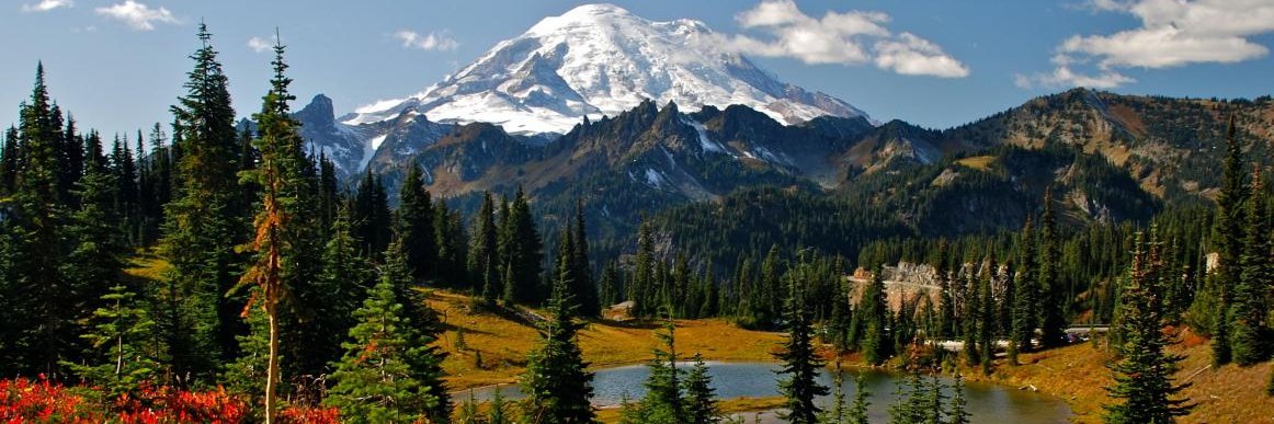 Country_Bumpkin banner