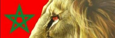 marocblad's profile banner image