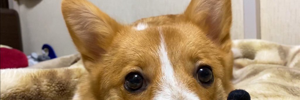 KANTOLET's profile banner image