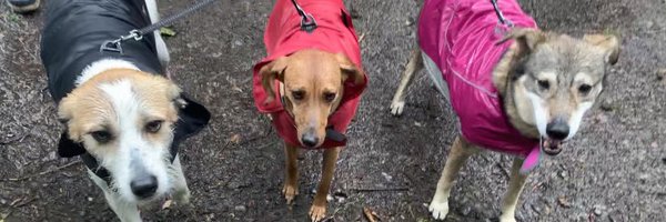 BasfordLuke22 Profile Banner