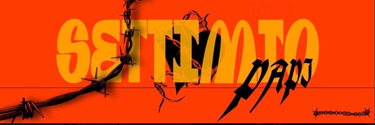 settimiopapii's profile banner image