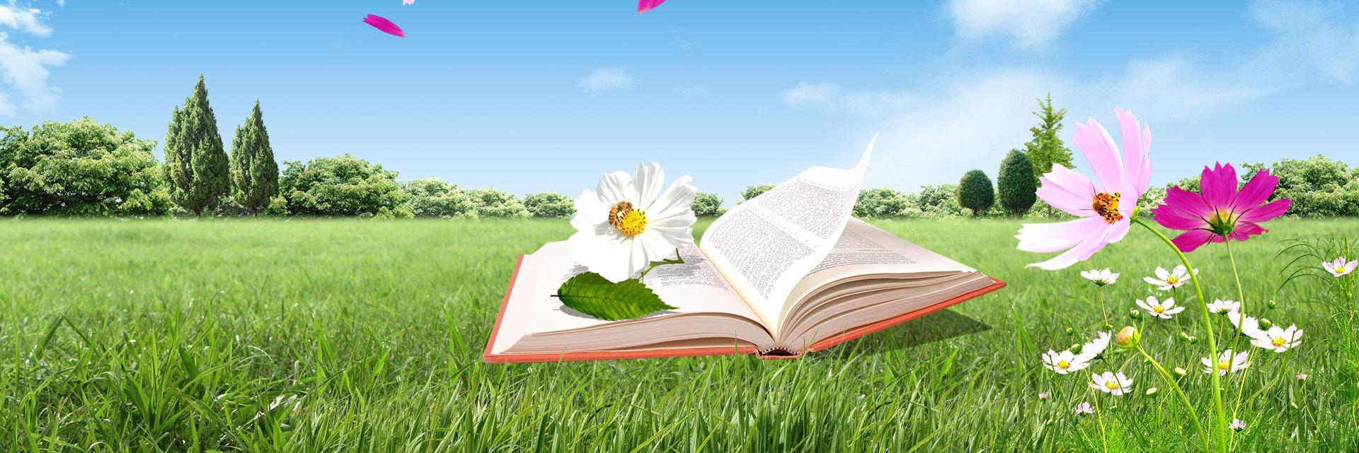 Spirituel's profile banner image