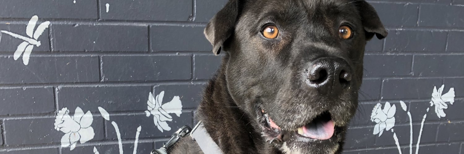 Alexis Poitrasson-Rivière banner