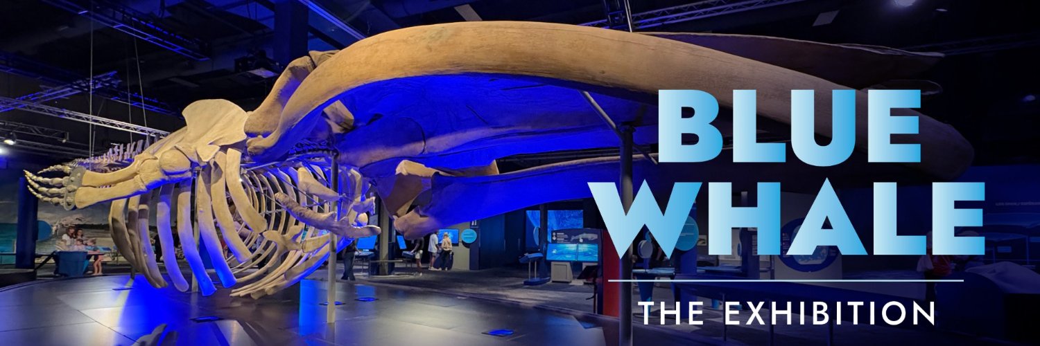 STLScienceCtr's profile banner image