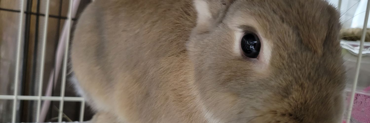 hiro_ura1's profile banner image
