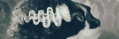 NadaEnEstaVida's profile banner image