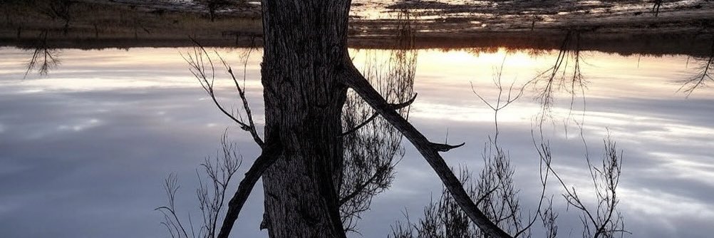 Shavis2622's profile banner image