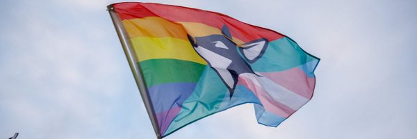 MNRevontulet Profile Banner