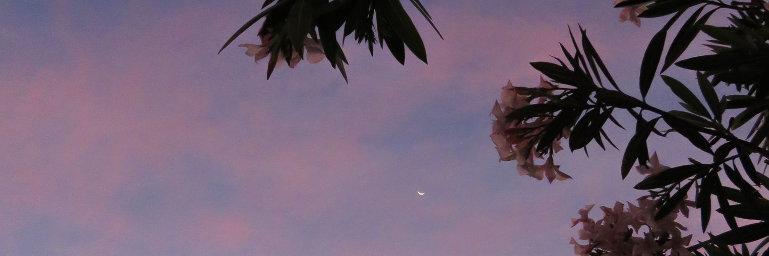 belevazquez's profile banner image