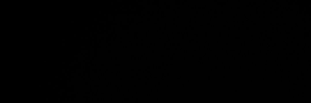 •• Your Morning Goon •• banner