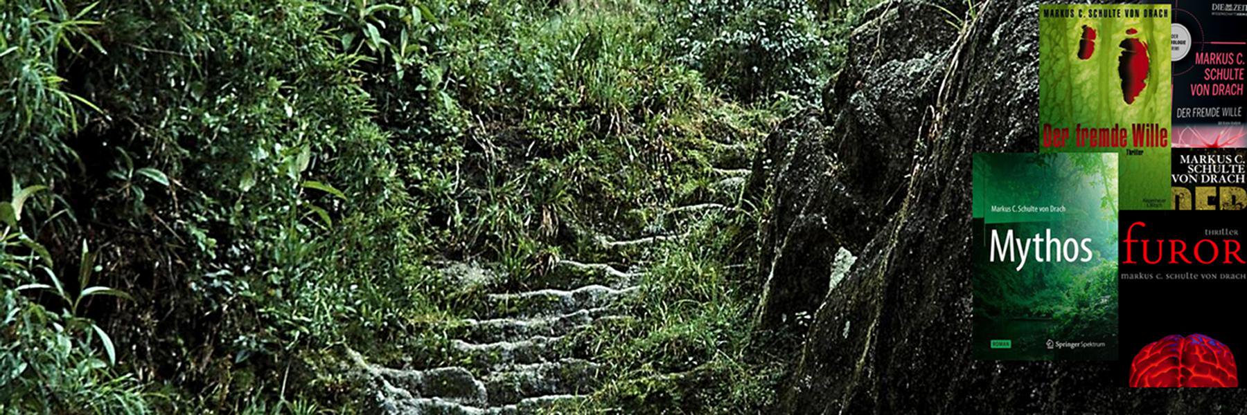 Markus C. Schulte von Drach banner