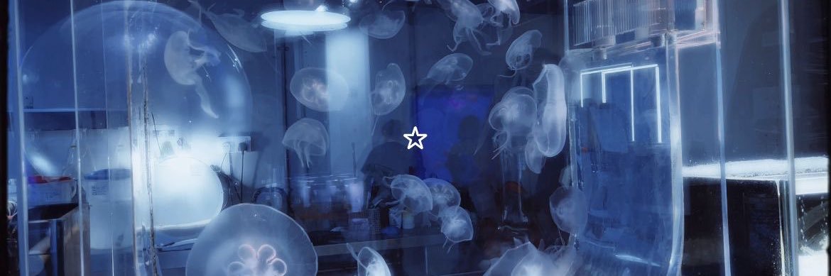 valeizou's profile banner image