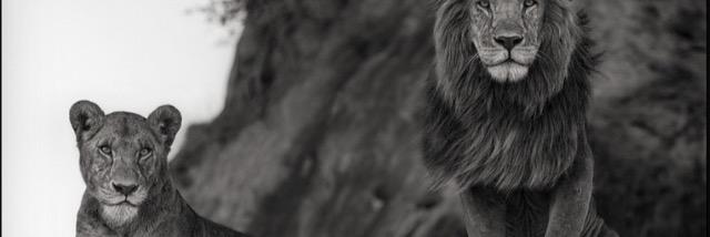 Lawrence1612's profile banner image