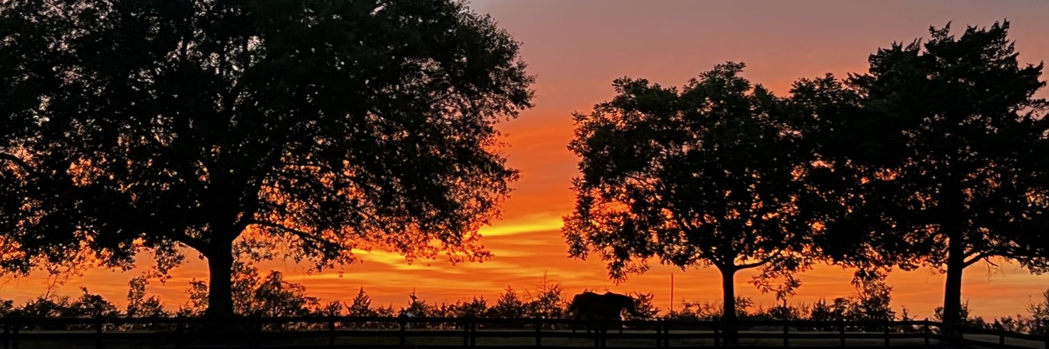 rollingmranch's profile banner image