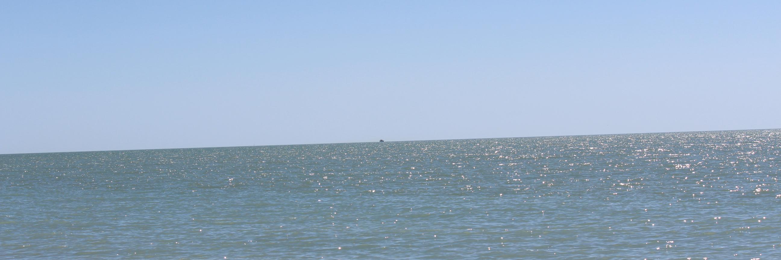 Non #sheeplerankings banner