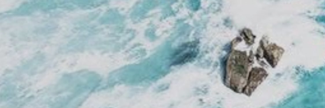 _floridamike's profile banner image