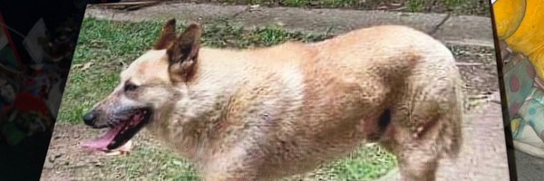 Jac061272 Profile Banner