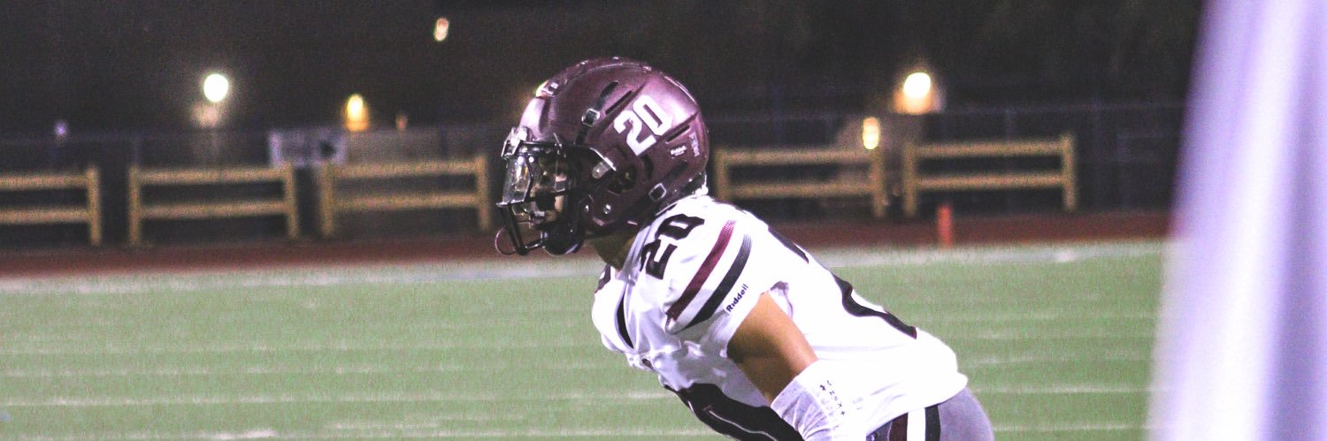 Lamichael Flannigan banner