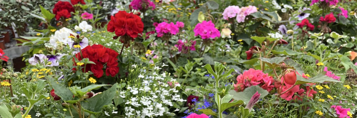 Ashwood Nurseries banner