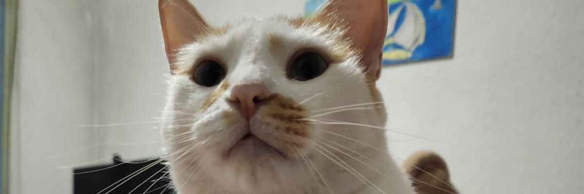 ChrisAlex9609's profile banner image