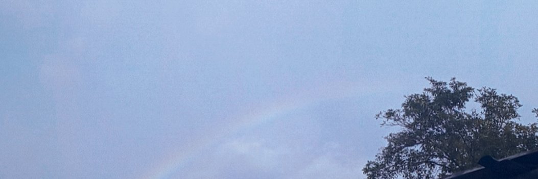 Kaleigh-Kun banner