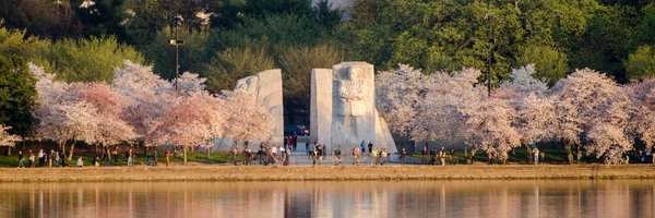 USinStPete Profile Banner