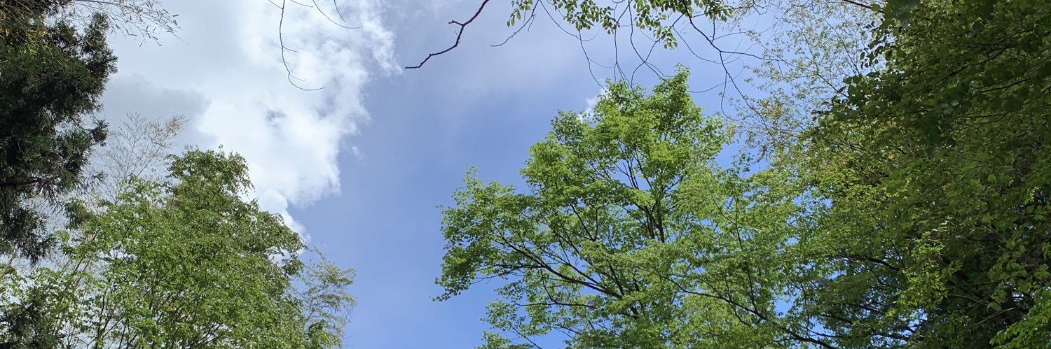 03m11ma's profile banner image
